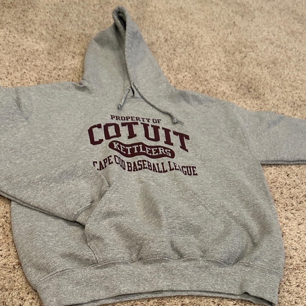 Gildan Gray Hoodie